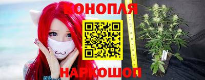 гашиш Канаш